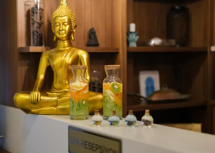 ホテル Acroter ダッチャ