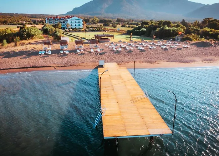 Acroter ダッチャ